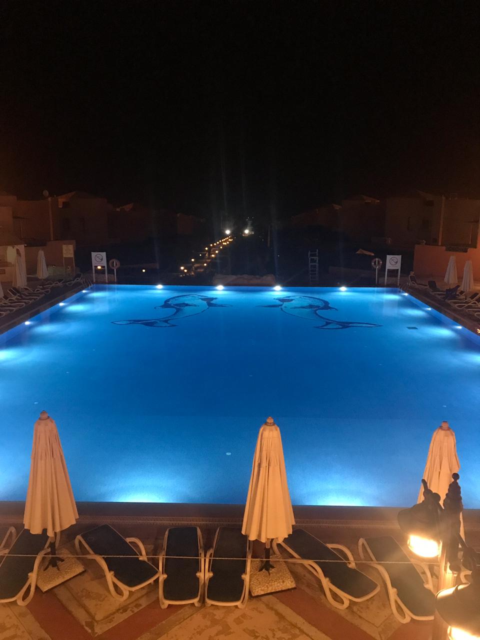 فندق توليب النرجس  